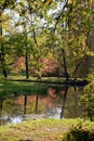 In autumn park Royalty Free Stock Photo