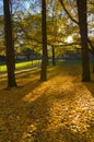 Autumn Park