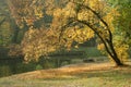 Autumn in a park