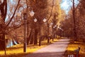 Autumn park alley Royalty Free Stock Photo