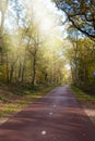 Autumn park alley walk road. The way in park with golden foliage and trees in fall season. Beautiful autumnal forest, beauty Royalty Free Stock Photo