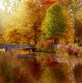 Autumn park in Amsterdam Royalty Free Stock Photo