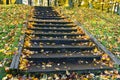 Steps covered in fallen leaves, autumn forest, autumn in the Park, yellow and red leaves on trees in autumn Royalty Free Stock Photo