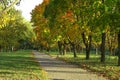 autumn in the park Royalty Free Stock Photo