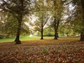 Autumn, park, background, beautiful autumn, colourful, leaves, nature, trees, bench, Royalty Free Stock Photo