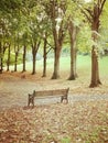 Autumn, park, background, beautiful autumn, colourful, leaves, nature, trees, bench, Royalty Free Stock Photo