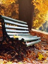 Autumn, park bench. leaf fall Royalty Free Stock Photo