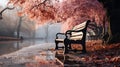 An autumn park with bench at morning fog in winter Royalty Free Stock Photo