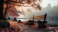 An autumn park with bench at morning fog in winter Royalty Free Stock Photo