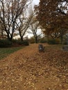 Autumn park benches
