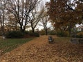 Autumn park benches
