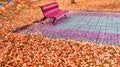 Autumn park in campus of famous Russian university with red orange fallen leaves and trees