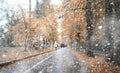 Autumn park in the first snow Royalty Free Stock Photo