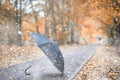 Autumn park in the first snow Royalty Free Stock Photo