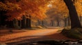 autumn in the park, fall colors in the park, autumn scene in the park, golden autumn seasone