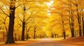 autumn in the park, fall colors in the park, autumn scene in the park, golden autumn seasone