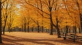 autumn in the park, fall colors in the park, autumn scene in the park, golden autumn seasone