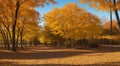 autumn in the park, fall colors in the park, autumn scene in the park, golden autumn seasone