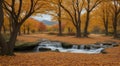 autumn in the park, fall colors in the park, autumn scene in the park, golden autumn seasone