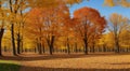 autumn in the park, fall colors in the park, autumn scene in the park, golden autumn seasone