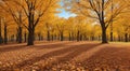 autumn in the park, fall colors in the park, autumn scene in the park, golden autumn seasone