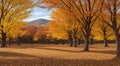 autumn in the park, fall colors in the park, autumn scene in the park, golden autumn seasone