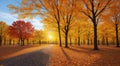 autumn in the park, fall colors in the park, autumn scene in the park, golden autumn seasone