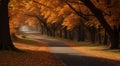 autumn in the park, fall colors in the park, autumn scene in the park, golden autumn seasone