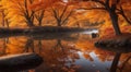 autumn in the park, fall colors in the park, autumn scene in the park, golden autumn seasone