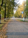 Autumn in the park, fall season