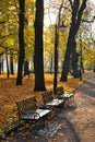 Autumn Park with fallen leaves and a bench Royalty Free Stock Photo