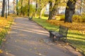 Autumn Park with fallen leaves and a bench