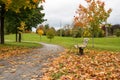 Autumn in the park. Fallen leaves near bench and road in a local park Royalty Free Stock Photo