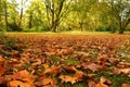 Autumn park and falling leaves Royalty Free Stock Photo