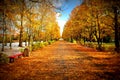 Autumn in the park, first snow Royalty Free Stock Photo