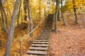 Autumn park forest yellow leaves landscape, stairs Royalty Free Stock Photo