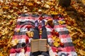 Autumn in the park. Girl sitting on a blanket and reading a book Royalty Free Stock Photo