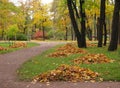 Autumn park, heaps of leaves on a green grass, trees with yellow foliage