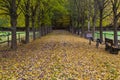 Autumn in the park. Hessenpark , Hesse, Germany Royalty Free Stock Photo