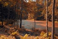 Autumn park and lake Royalty Free Stock Photo