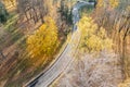 Autumn park, aerial view. winding bicycle lane surrounded by colorful yellow trees