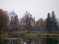 Autumn park landscape with a pond