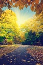 Autumn park, light shining through trees and leaves