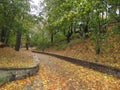 Autumn park line