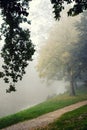 Autumn park on a misty morning. Royalty Free Stock Photo