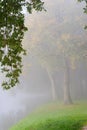 Autumn park on a misty morning. Royalty Free Stock Photo