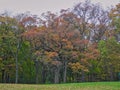 Autumn in the park: Mix of fall-colored trees with yellow, orange, green and red leaves and evergreens in this landscape scenic Royalty Free Stock Photo