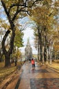 Autumn park and a monument