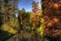 Autumn in the Park, Monza, Italy