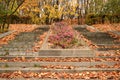 Autumn park in Moscow